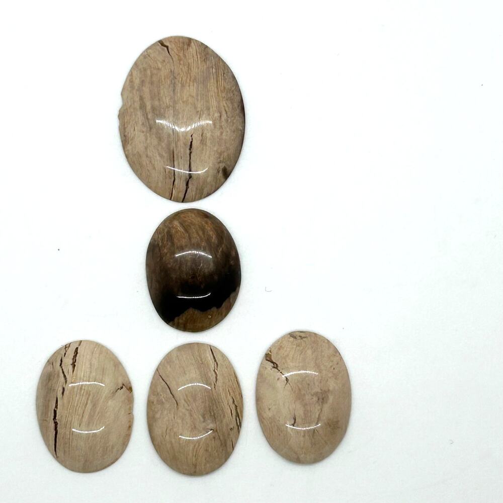 Petrified Wood Cabochons For Jewelry‎ Making Lot of 5